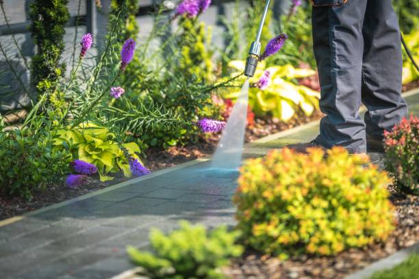 Best Roof Washing  in Union City, OH